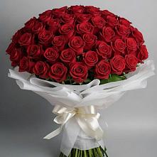 Букет 101 Красная роза Блэк Мэджик в Венгерово