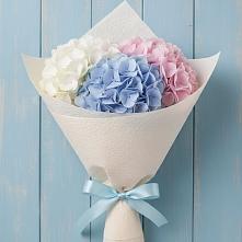 Букет цветов из:  Гортензия в Венгерово