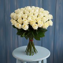 Букет 51 Белая роза Эдлесс Лав #REPLACE_PRED# Венгерово