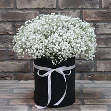 Цветочная композиция из Гипсофила в шляпной коробке в Венгерово