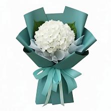 Букет цветов из:  Гортензия #REPLACE_PRED# Венгерово